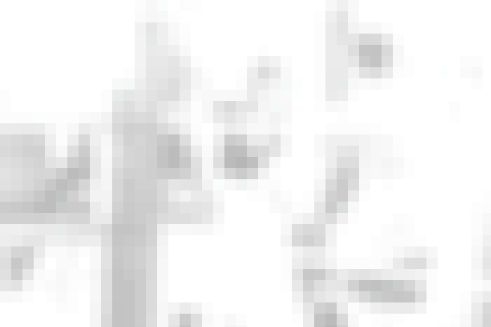 People discussing why social selling is so important? | How the Digital Age is Transforming the Sales Process