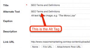 Alt tags on images play an important role in your webpage's organic ranking.