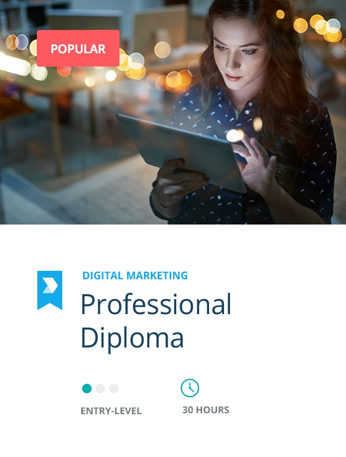 Professional Digital Marketing Course digital marketing courses digital marketing institute Professional Digital Marketing Course digital marketing courses digital marketing institute