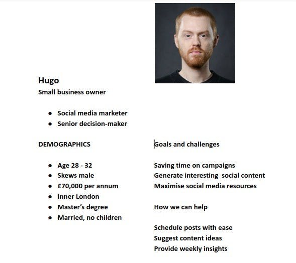 An example of a basic buyer persona | The Beginner’s Guide to Defining Buyer Personas